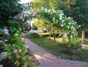 a garden with a floral arch with pink and white roses at Dura Guesthouse, Garden Wellness Retreat near the Tisza River in Paszab