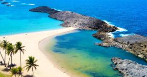 an aerial view of a beach with palm trees and the ocean at 2BR Apartment, Blue Ocean Suites, Manati in Manati