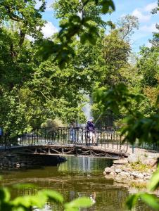 a person standing on a bridge over a river at Apartament Wiejska 5a in Ciechocinek