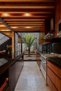 a large kitchen with a palm tree in the background at Casa Carmen Xólotl in Oaxaca City