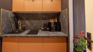 a kitchen with a sink and a coffee maker at Studio moderne chaleureux et calme in Annecy