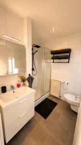 a bathroom with a shower and a sink and a toilet at Ferienwohnung Hoffmann in Radebeul