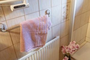 a bathroom with a towel hanging on a wall at Naturparadies Nähe Grüner See in Oberdorf +15 photos