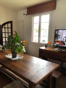 a wooden table with a potted plant on top of it at Les coccinelles bretonnes in Plouescat