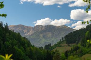 a view of a valley with trees and mountains at Naturparadies Nähe Grüner See in Oberdorf
