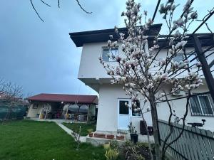 a flowering tree in front of a house at Casa Enka in Tuzla