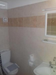 a bathroom with a toilet and a sink and a window at Pension Castello in Rethymno