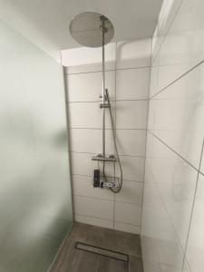 a shower with a shower head in a bathroom at Harbour Apartment in Moos