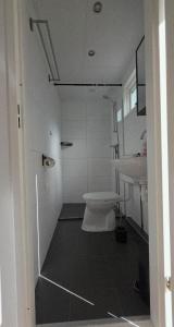 a bathroom with a toilet and a sink at Robin's oak lodge in Epe