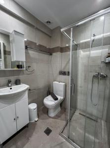 a bathroom with a shower and a toilet and a sink at Casa al' Tati Apartments in Ialysos +9 photos