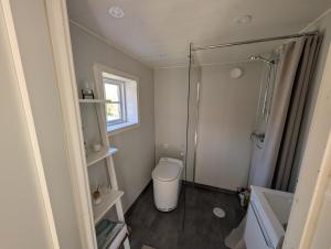 a small bathroom with a toilet and a shower at Kuggeboda in Listerby