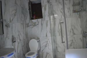 a bathroom with a shower and a toilet and a sink at Apartament 2 in Gonio