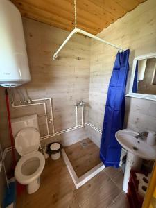 a small bathroom with a toilet and a sink at Bungalovi 3AS in Žabljak +42 photos