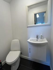 a bathroom with a white toilet and a sink at Møllevej in Hjørring
