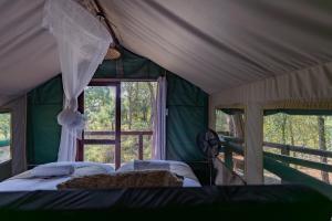 a bedroom with two beds in a green tent at Ndzhaka Tented Camp in Manyeleti Game Reserve