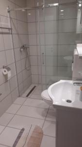 a bathroom with a shower and a toilet and a sink at Apartman Sanja Ledine in Ledine +4 photos