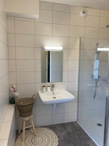 a bathroom with a sink and a shower at Maison Joviale in La Ferté-Saint-Aubin