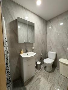 a bathroom with a white toilet and a sink at Butas pačiame miesto centre in Telšiai +26 photos