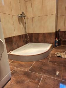 a bath tub in a bathroom with a shower at Sunshine 2 in Leonidio +38 photos