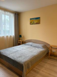 a bedroom with a bed and a window at Butas pačiame miesto centre in Telšiai