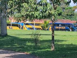a group of buses parked in a field with trees at Pousada Solar da Costa 1908 quarto com banheiro in Serra +2 photos