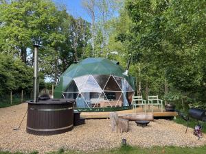 a green tent in a yard with a trash can at Cherry Tree Dome in Smeeth