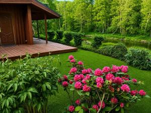 a garden with pink flowers and a wooden deck at Domek w Dolinie Drwęcy in Lubicz