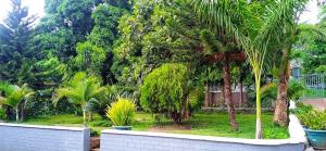 a yard with palm trees in front of a house at Moshi Green Lodge in Moshi
