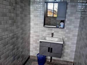 a bathroom with a sink and a mirror at Moshi Green Lodge in Moshi