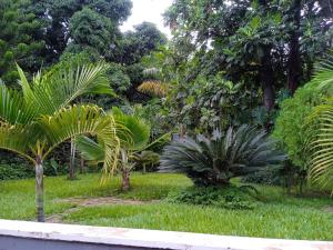 a garden with palm trees and green grass at Moshi Green Lodge in Moshi +6 photos