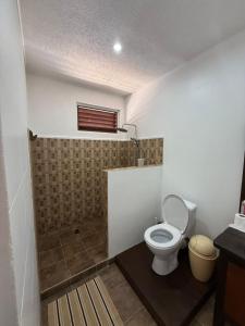 a bathroom with a toilet in a room at Hiro'a - Fare Orotia in Taputapuapea +35 photos