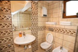 a tiled bathroom with a toilet and a sink at Apartmani Cebra & Lisa in Topla +51 photos