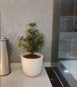 a plant in a white pot sitting on a counter at Aleida Residency in Cochin