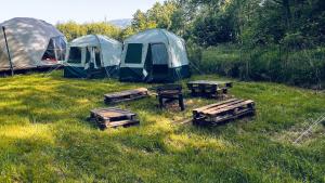 a group of tents and picnic tables in a field at Namioty w lesie in Ściegny