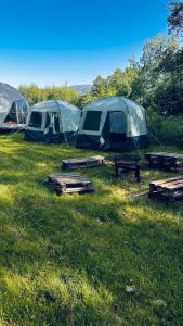 three tents in a field with a picnic table at Namioty w lesie in Ściegny