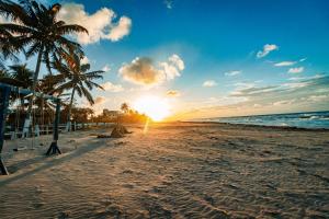 a sunset on a beach with palm trees and the ocean at Hostal Rudy's Beach in Puerto Cortés