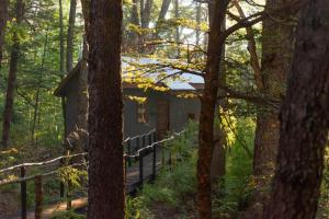 a cabin in the middle of a forest at Curahuapi Refugio de Montaña in Las Trancas +25 photos
