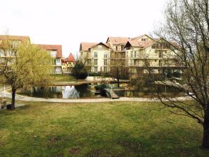 a large apartment building with a pond in a park at Horváth Apartman in Cserkeszőlő