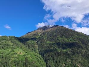 a mountain covered in trees with a snow covered top at Chalet Alpen Charme in Turtmann