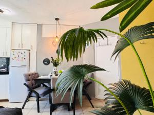 a kitchen with a table and a dining room with a plant at Polly's Home Boutique GuestHouse & Private Suites in Aralias in Puerto Vallarta