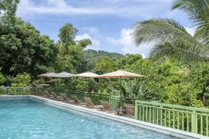 a swimming pool with chairs and umbrellas and trees at Fond Doux Eco Resort in Soufrière