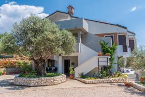 a house with a tree in front of it at Apartments Villa Ana in Palit +65 photos