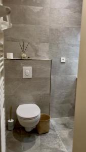 a bathroom with a white toilet in a room at Domaine de la Brême in Bréménil +42 photos