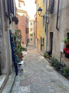 an empty alley with potted plants and buildings at Casa Alice in Muggia