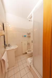 a bathroom with a toilet and a sink and a shower at Aparthaus Schmiedeschenke in Dresden +15 photos