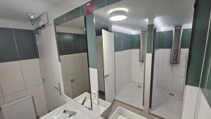 a bathroom with a shower and a sink at La Valdonnière in Esnoms-au-Val