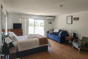 a bedroom with a bed and a blue couch at Large Studio with Patio and Pool in North Truro