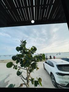 a white car parked on the beach next to a tree at Homestay Ninh Chữ in Thanh Hải