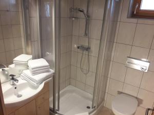 a bathroom with a shower and a sink and a toilet at Landhaus Argus in Fügenberg