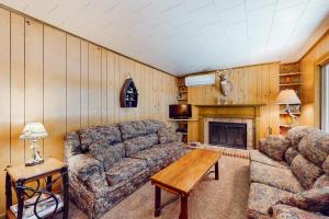 a living room with a couch and a fireplace at Konkey's Kabin in Saint Germain